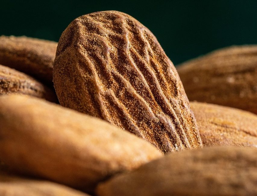 h by Maia Almond oil