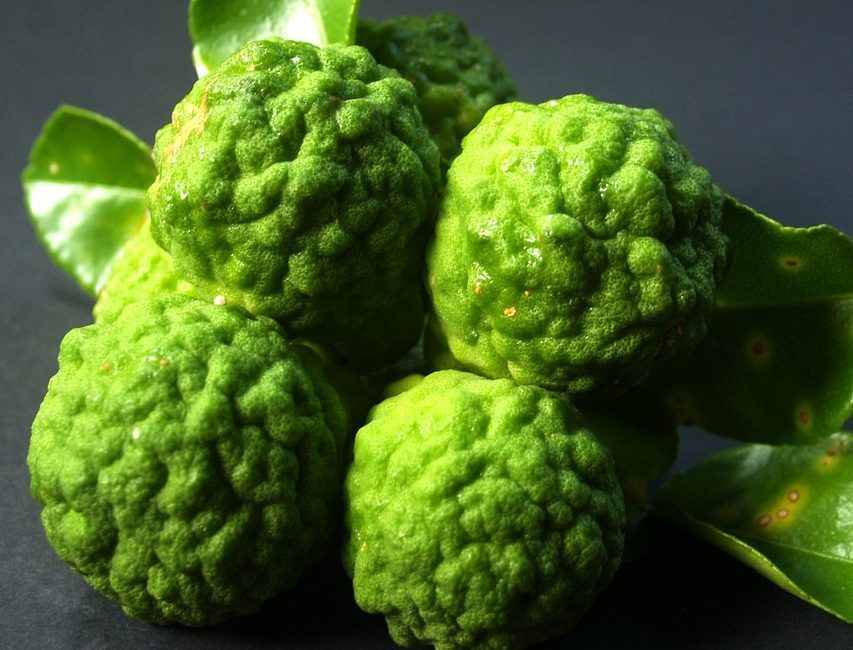 H BY MAIA BERGAMOT OIL